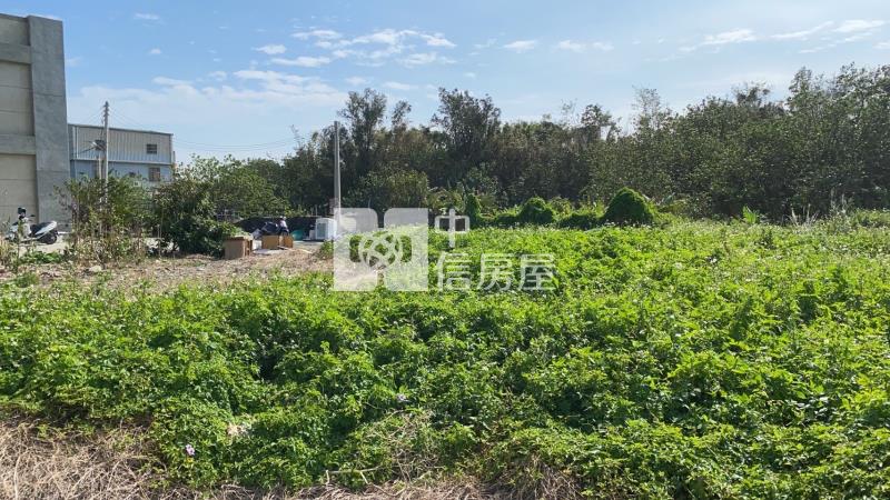 龍津高中優質農地房屋室內格局與周邊環境