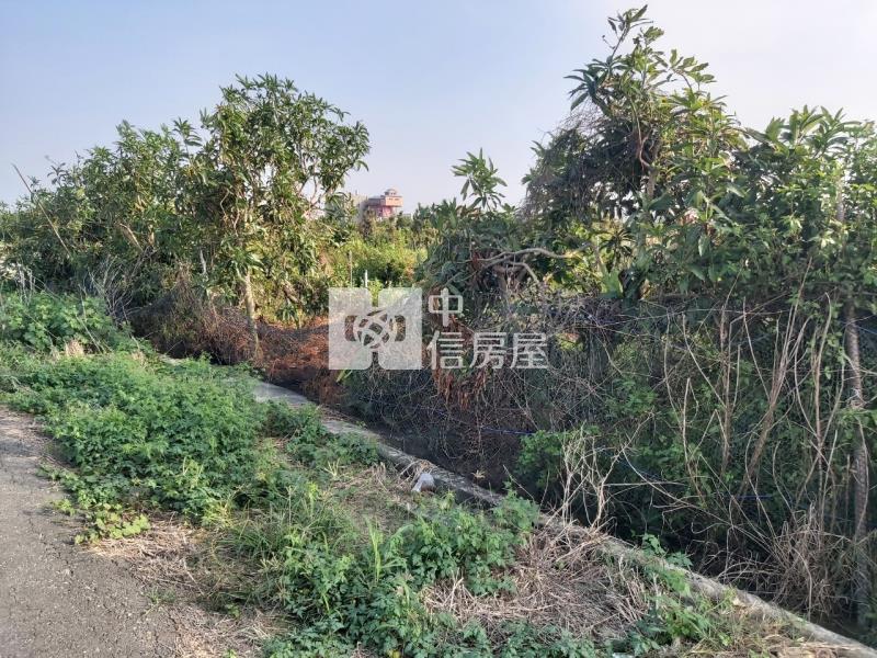 佳興國中759坪農地房屋室內格局與周邊環境