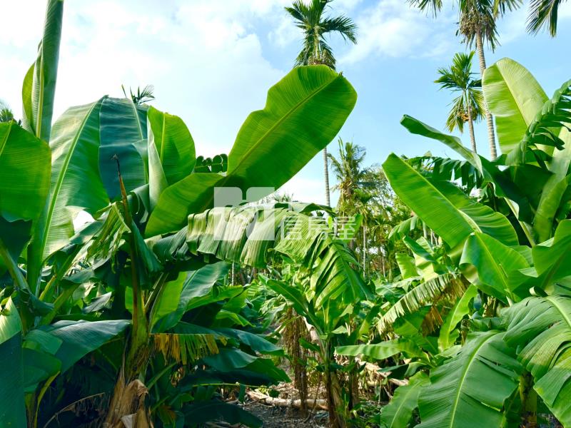 長治近市區面寬農地房屋室內格局與周邊環境