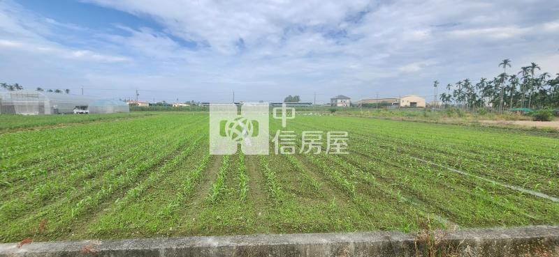 屏東土地 屏市大湖方正農地房屋室內格局與周邊環境