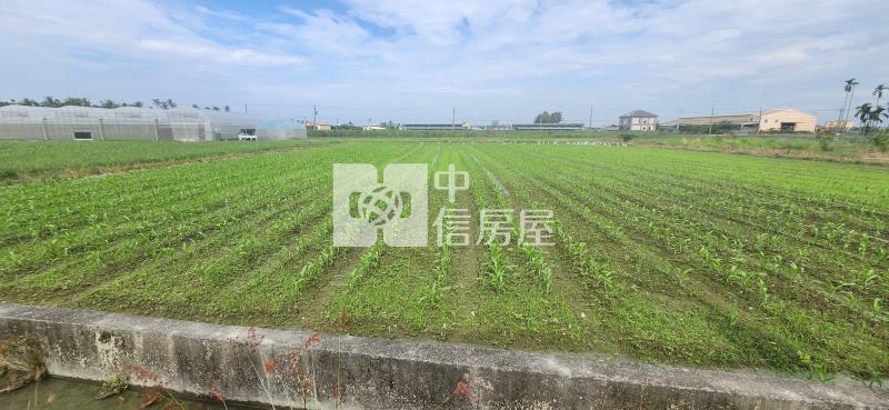 屏東土地 屏市大湖方正農地房屋室內格局與周邊環境