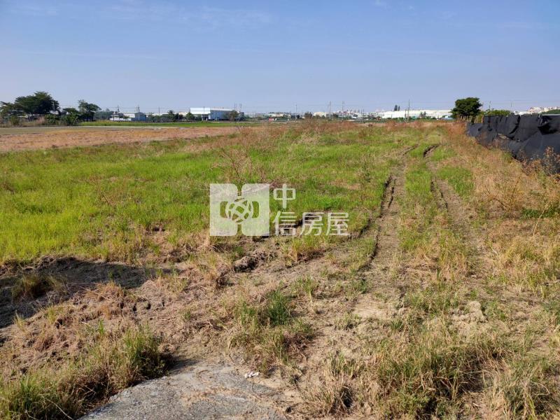 新市低於實價金正俗美農地房屋室內格局與周邊環境