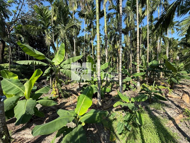 長治近村庄小農地(袋地)房屋室內格局與周邊環境