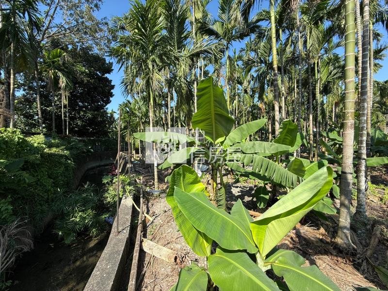 長治近村庄小農地(袋地)房屋室內格局與周邊環境
