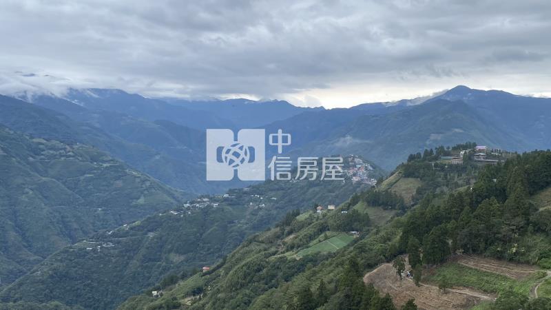拉拉山無敵景觀農地