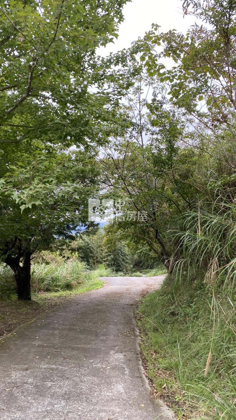 拉拉山無敵景觀農地房屋室內格局與周邊環境