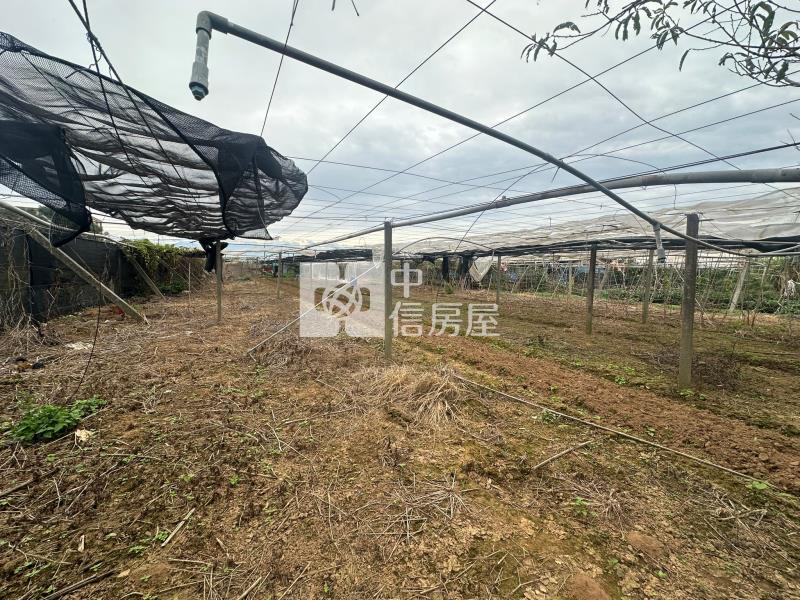 麗寶樂園後優質農地房屋室內格局與周邊環境