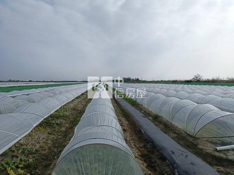 北門區臨路有農舍大農地房屋室內格局與周邊環境