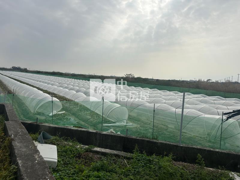 北門區臨路有農舍大農地房屋室內格局與周邊環境
