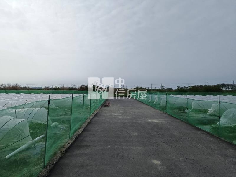 北門區臨路有農舍大農地房屋室內格局與周邊環境