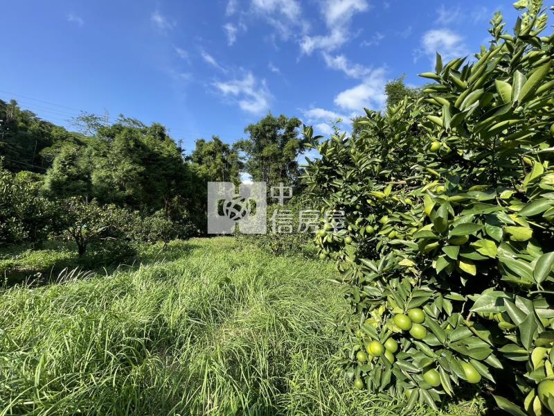 關西漂亮臨路美地房屋室內格局與周邊環境