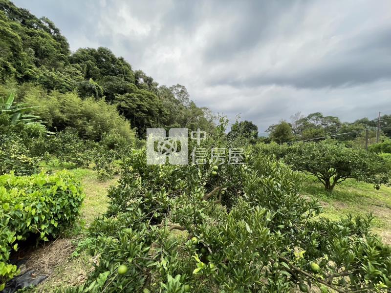 關西漂亮臨路美地房屋室內格局與周邊環境