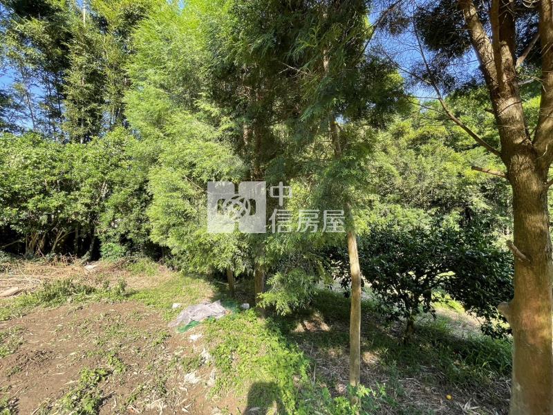關西漂亮臨路美地房屋室內格局與周邊環境