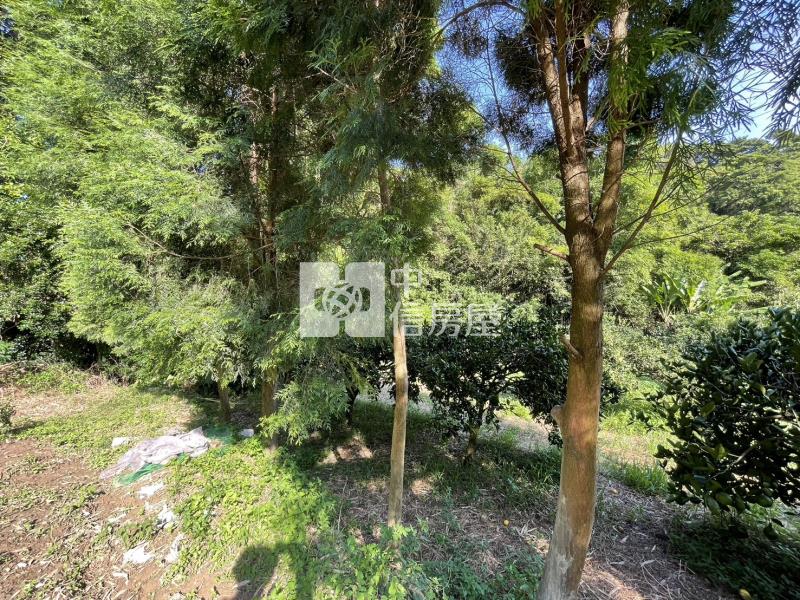 關西漂亮臨路美地房屋室內格局與周邊環境