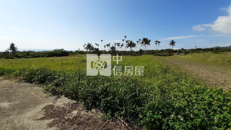 A12-鳥瞰都蘭美農地房屋室內格局與周邊環境