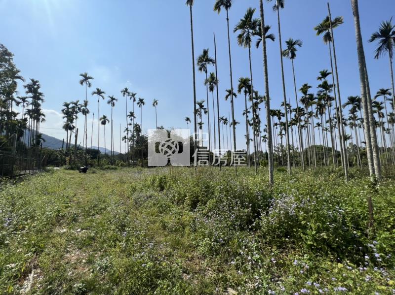 東潤田字農地房屋室內格局與周邊環境