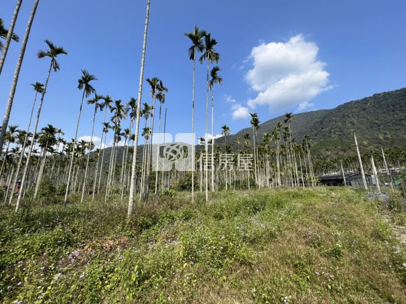 東潤田字農地房屋室內格局與周邊環境