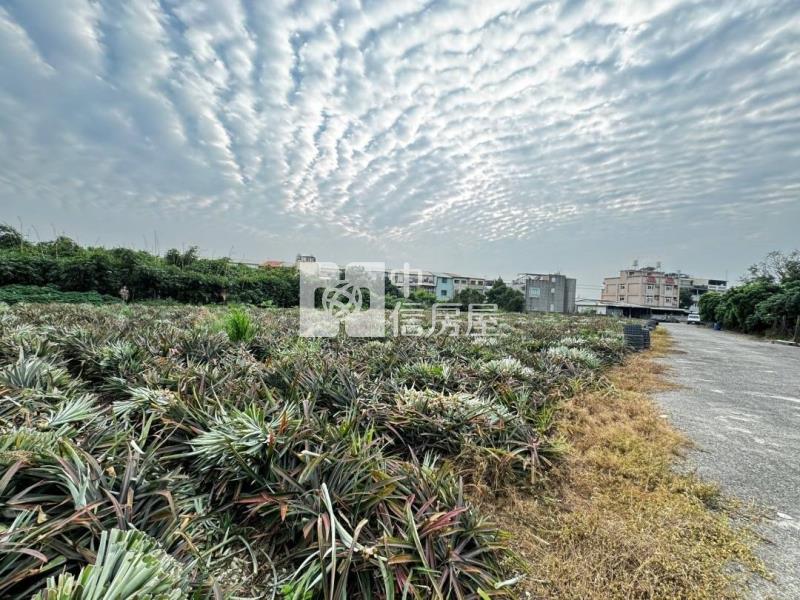 竹崎東義農地房屋室內格局與周邊環境