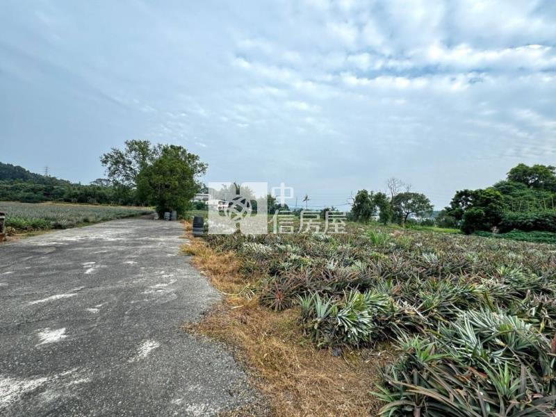 竹崎東義農地房屋室內格局與周邊環境