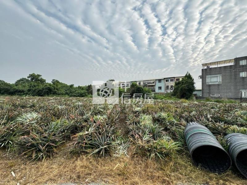 竹崎東義農地房屋室內格局與周邊環境