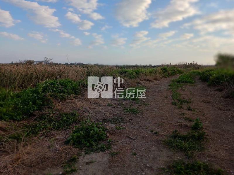 東石美農地房屋室內格局與周邊環境