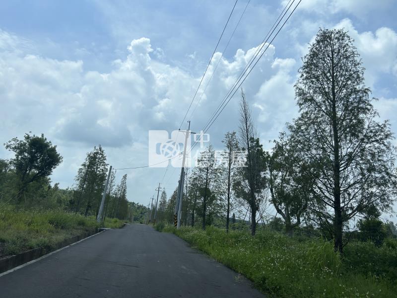 大內臨大馬路有水電之農地房屋室內格局與周邊環境