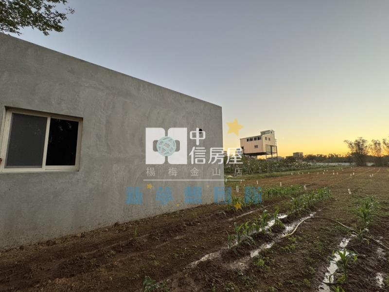 【新夢想】新屋清文路大面寬農地房屋室內格局與周邊環境