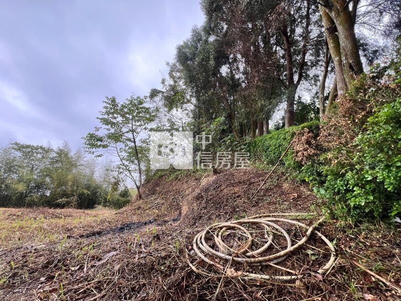 新竹寶山景觀社區美農地房屋室內格局與周邊環境