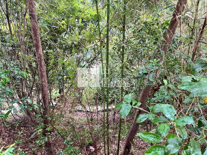 新竹寶山景觀社區美農地房屋室內格局與周邊環境