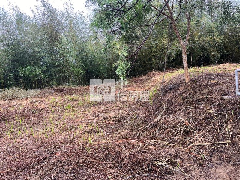 新竹寶山景觀社區美農地房屋室內格局與周邊環境