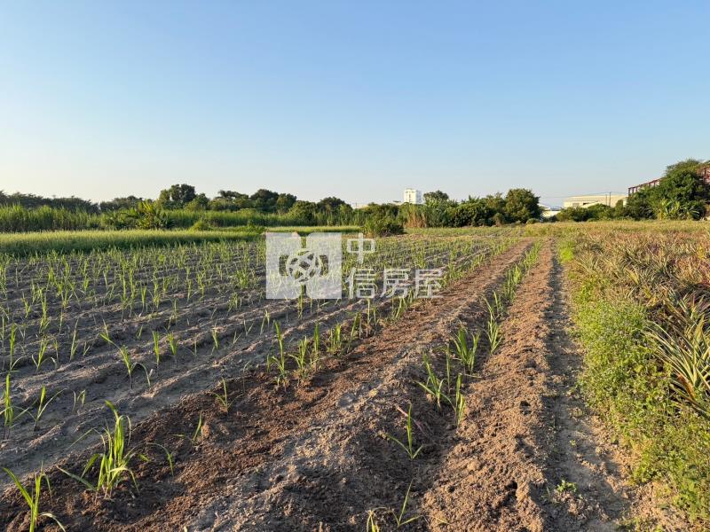 歸仁臨路1.1分農地房屋室內格局與周邊環境
