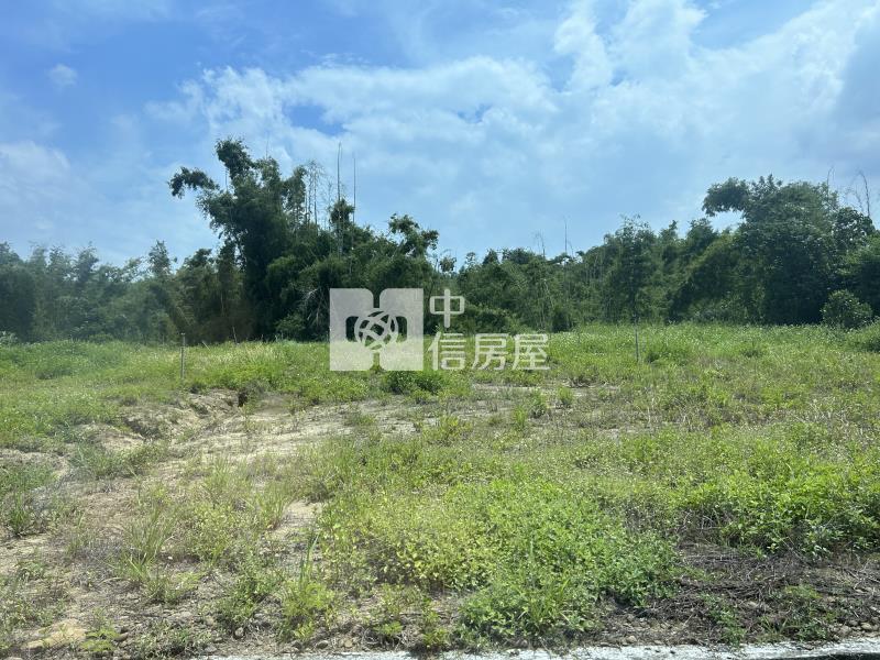大內蝴蝶園有水電之農地房屋室內格局與周邊環境