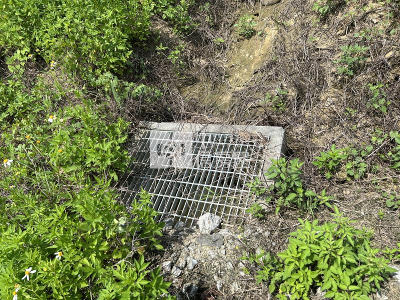 大內蝴蝶園有水電之農地房屋室內格局與周邊環境