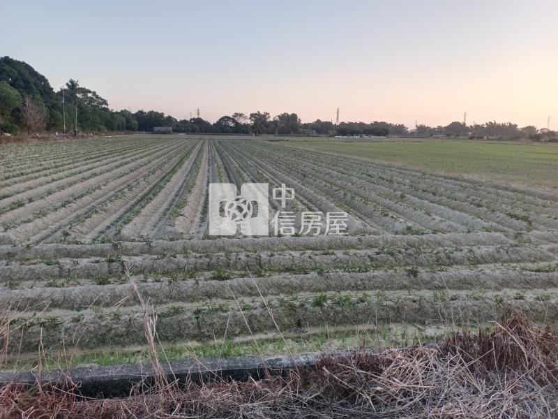 (專)南科新市2分優質美農地房屋室內格局與周邊環境