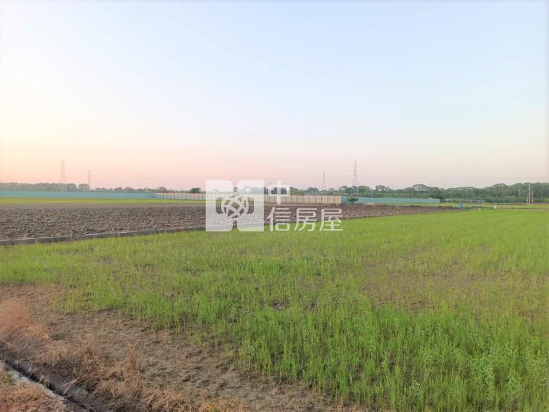 (專)南科新市2分優質美農地房屋室內格局與周邊環境