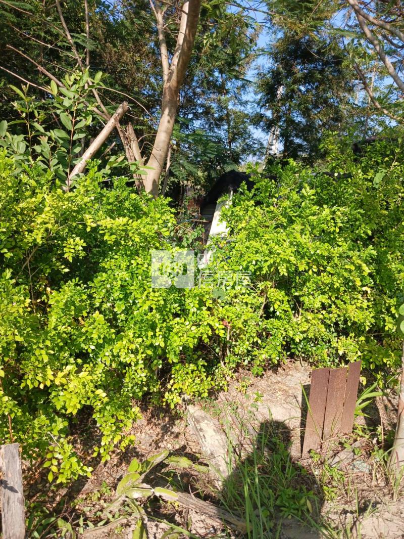 水上優質農地房屋室內格局與周邊環境