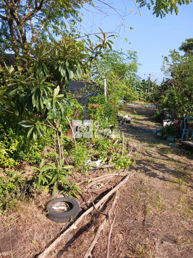 水上優質農地房屋室內格局與周邊環境