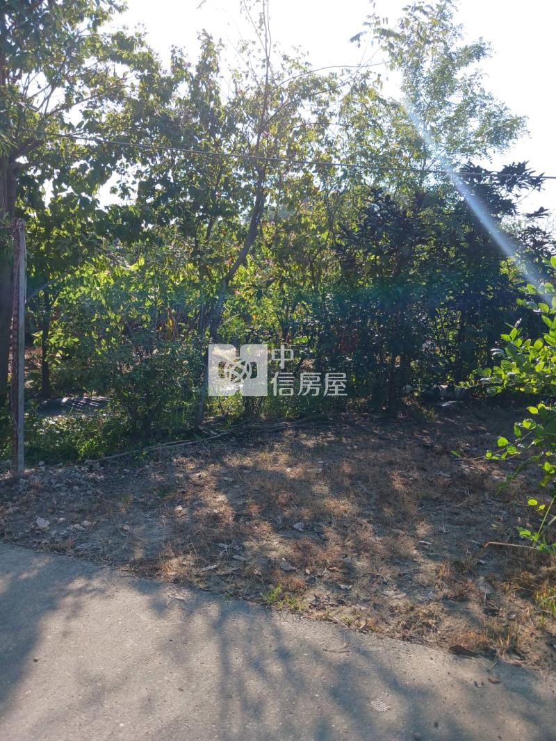 水上優質農地房屋室內格局與周邊環境
