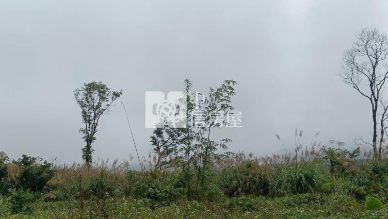 【安家】龍潭石門水庫萬坪旅館用地房屋室內格局與周邊環境