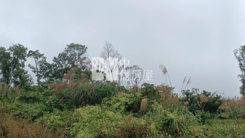 【安家】龍潭石門水庫萬坪旅館用地房屋室內格局與周邊環境