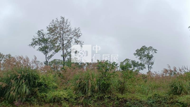 【安家】龍潭石門水庫萬坪旅館用地房屋室內格局與周邊環境