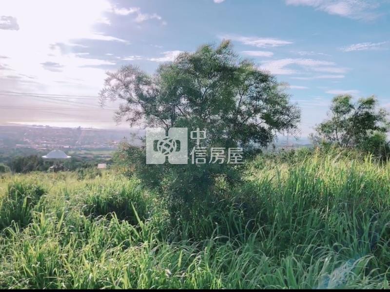 沙鹿國道三旁都計內保護地房屋室內格局與周邊環境