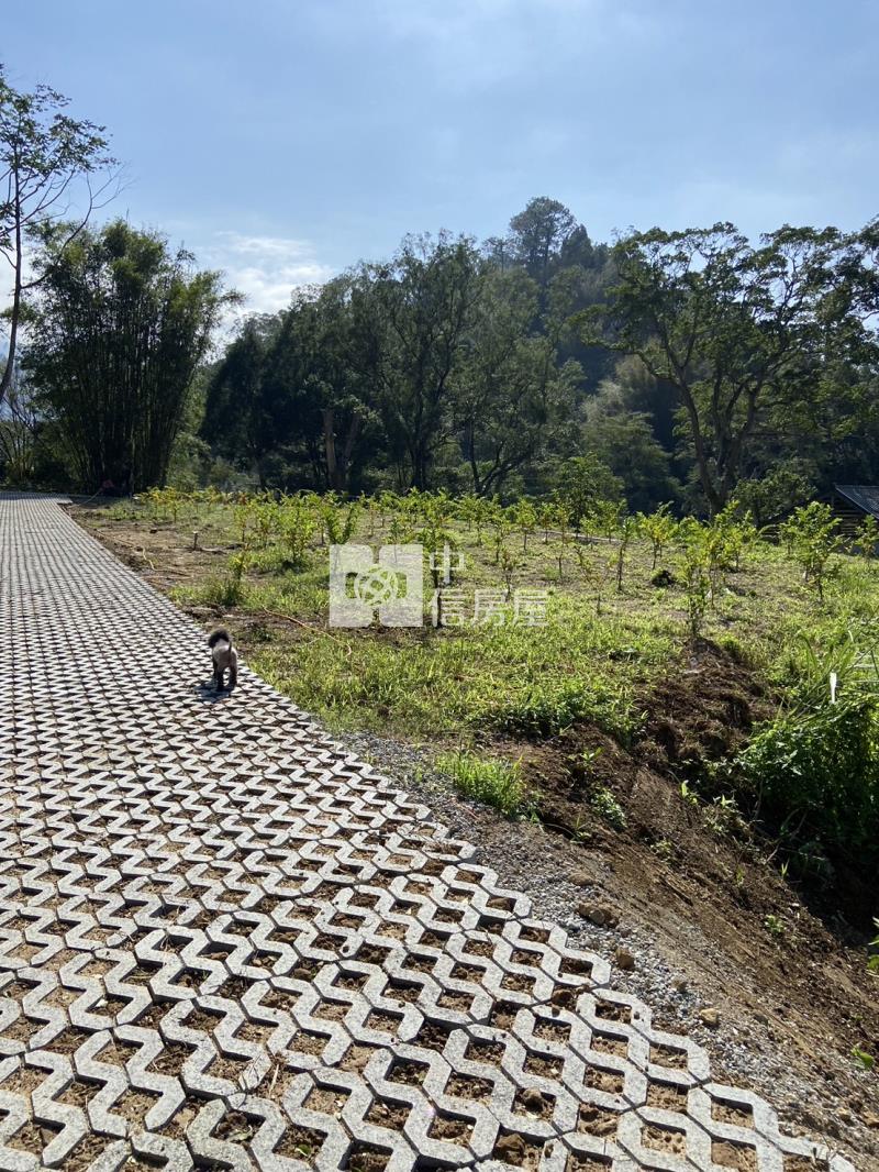 H-46桃園大溪八結段農牧用地房屋室內格局與周邊環境