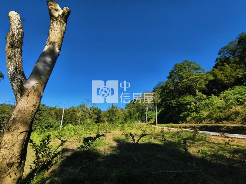H-46桃園大溪八結段農牧用地房屋室內格局與周邊環境