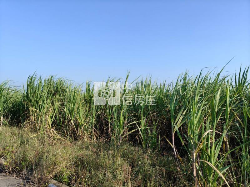 新市近社區田園生活美農地房屋室內格局與周邊環境