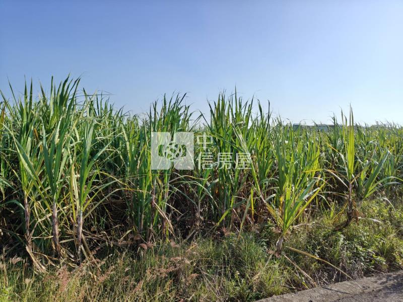 新市近社區田園生活美農地房屋室內格局與周邊環境