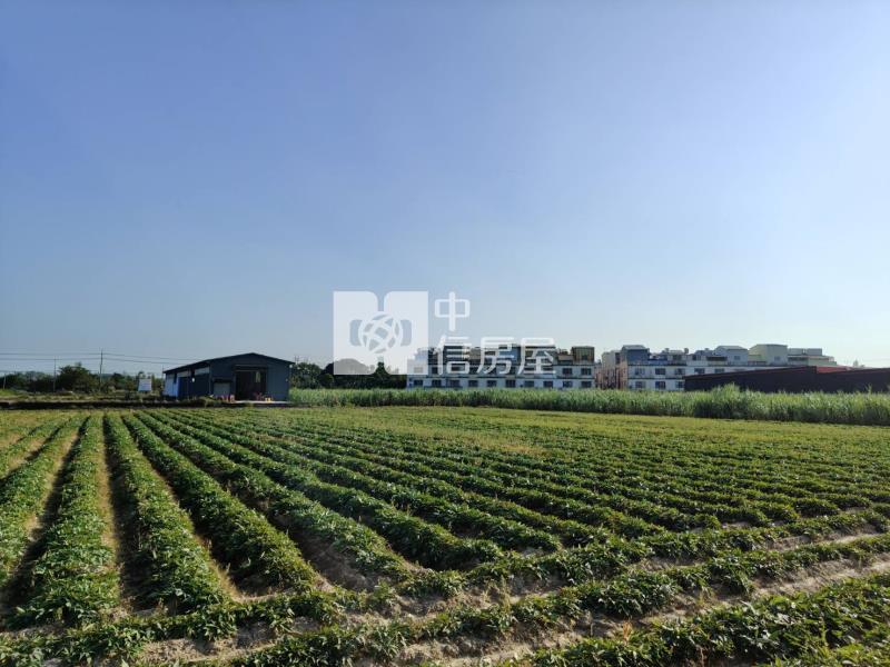 新市近社區田園生活美農地房屋室內格局與周邊環境