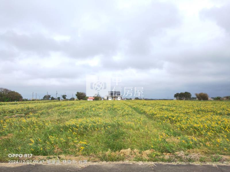 【安家】近新屋社子國小方正美農地房屋室內格局與周邊環境