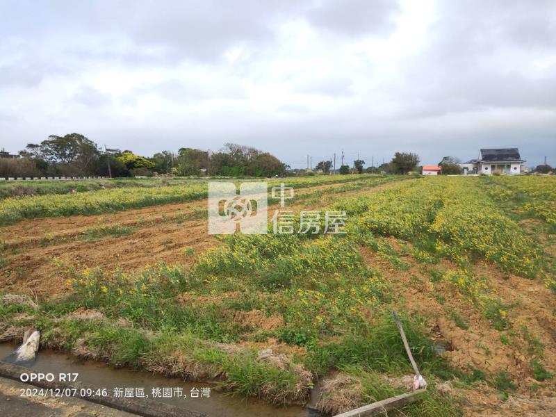 【安家】近新屋社子國小方正美農地房屋室內格局與周邊環境