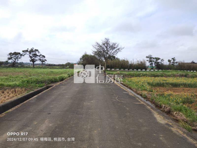 【安家】近新屋社子國小方正美農地房屋室內格局與周邊環境